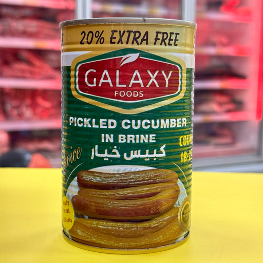 ENCURTIDOS PEPENILLOS 18-25 650gr مخلل خيار